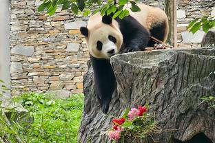 王思雨：元宵节逛了农贸市场 参观博物馆 赏烟花和月亮 圆满！